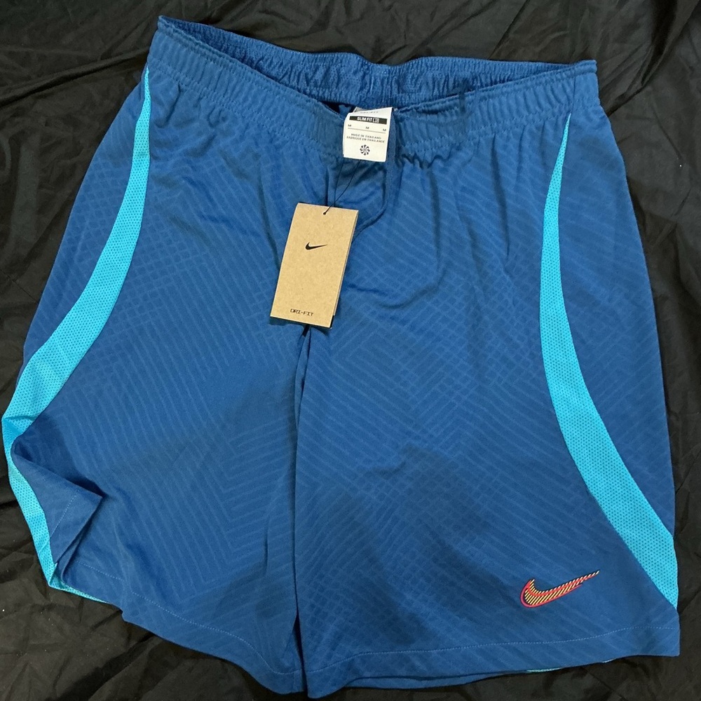 Nike Blue and Turquoise Sports Shorts